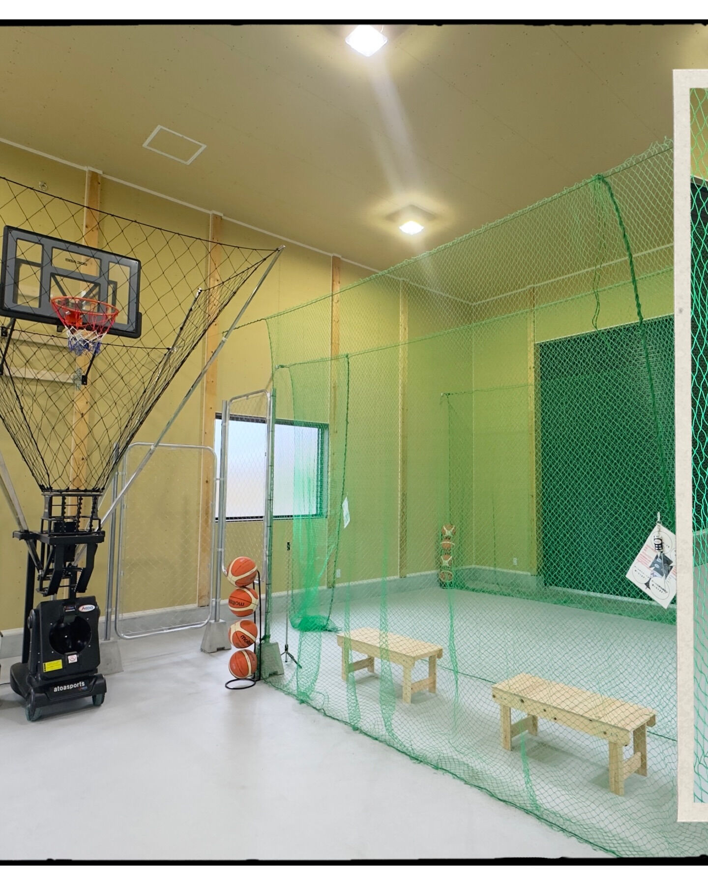 🏀 Swish（スウィッシュ）